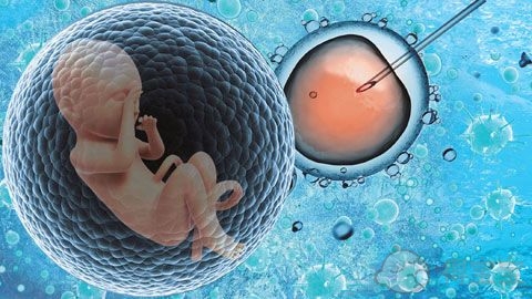 赠卵试管婴儿移植后多长时间能怀孕