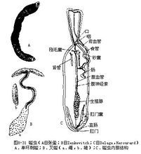供卵做试管婴儿供卵做试管婴儿的费用是多少？