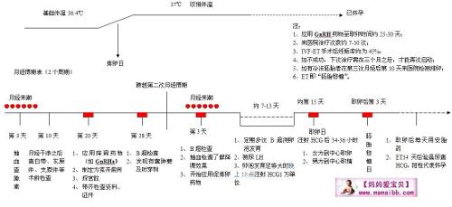 了解老年男性的DFI以及如何提高自己的供卵公立代怀试管成功率