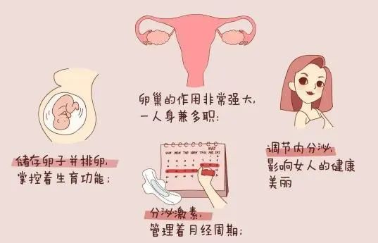 40天广州做供卵试管哪里代怀吃奶很频繁（40天广州做供卵公立试管不吃奶，一直在睡觉）