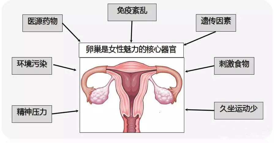 做赠卵试管哪里代生有可能生龙凤胎吗？