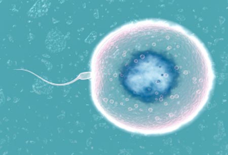 南昌市妇幼保健院第三代借卵试管包生男孩价格是多少