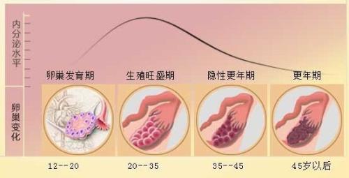 上海供卵做三代试管成功率排行榜,前五热门供卵做试管医院已公布!