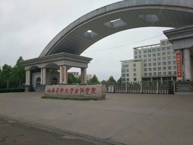 上海供卵做三代试管成功率排行榜,前五热门供卵做试管医院已公布!
