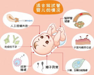 供卵试管胚胎为什么有碎片