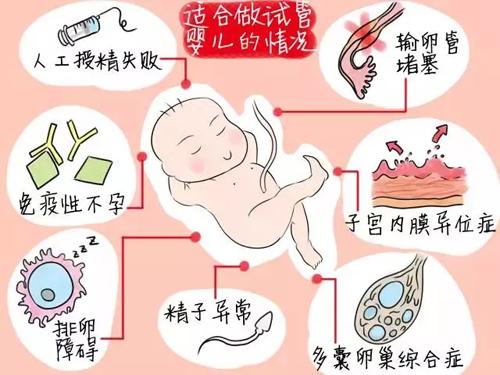 供卵试管胚胎为什么有碎片
