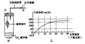 重庆妇幼保健院做供卵试管婴儿成功经验,2023供卵助孕费用和成功率参考