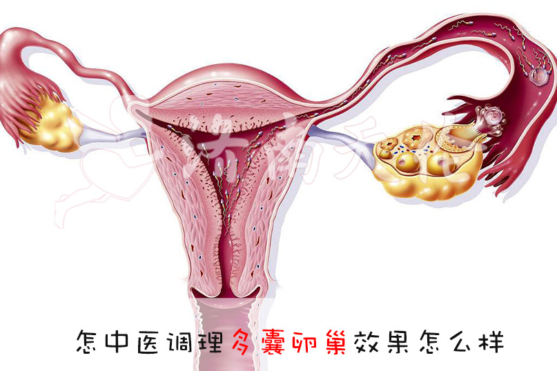 供卵试管失败收费吗