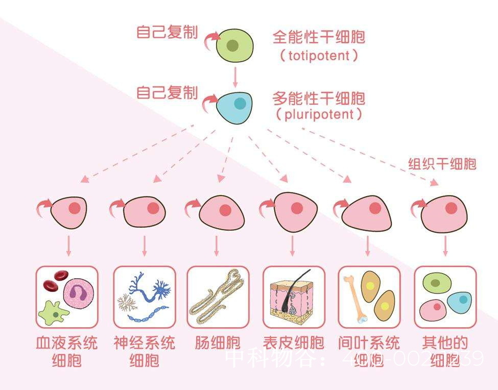 重庆生殖医院做供卵试管多少钱