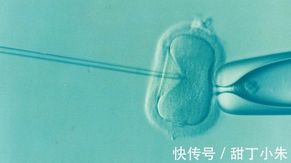 重庆试管婴儿多少钱