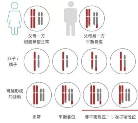 重庆养和医院请人试管代怀多少费用流程是怎样的需要多少钱