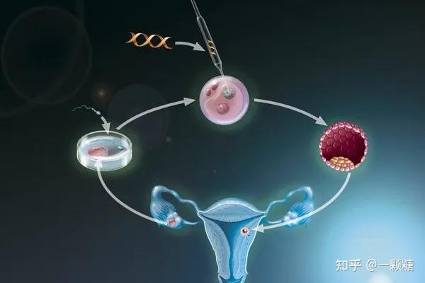 还是先了解这些事儿再来做重庆试管代怀孕费用浅析比较好