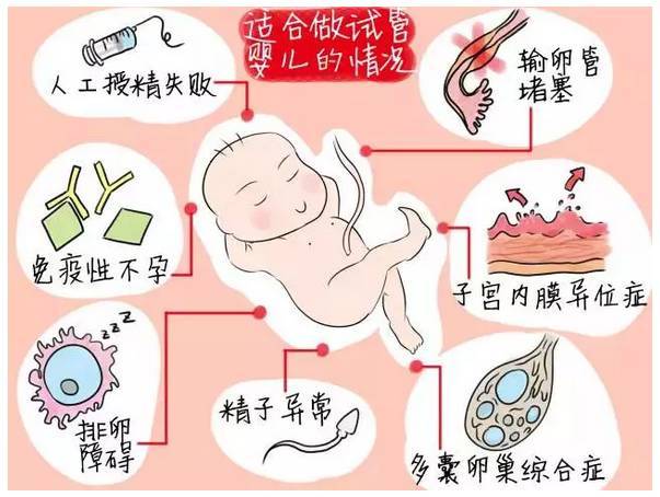为什么做重庆全国哪做试管代怀好要花这么多钱？