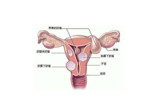 重庆私人中介机构供卵包成功包生男是骗局吗？