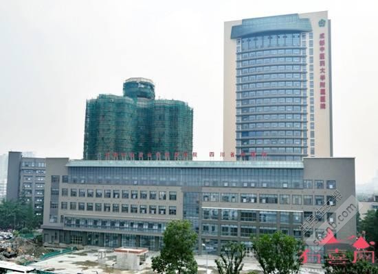 影响成功试管代怀方案成功的因素,原来有这些