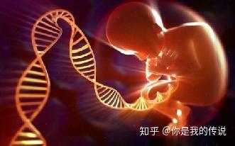 哪里有女人代生孩子的取卵需要全麻吗