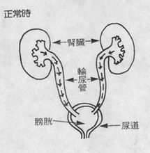 试管做双胞胎的条件试管做双胞胎适合什么的