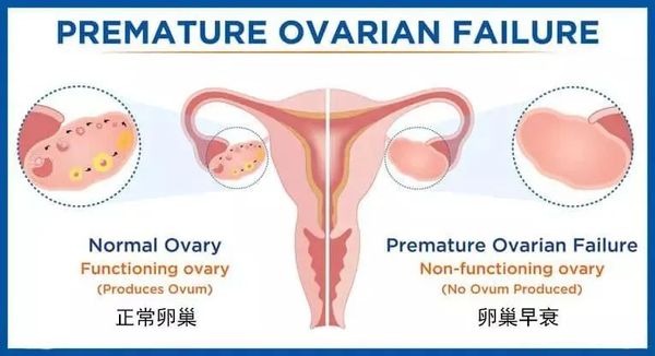 重庆试管成功率高的医院及费用