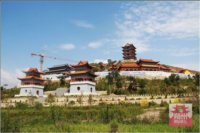 试管代怀妻子的双胞胎a卵b怀是什么意思