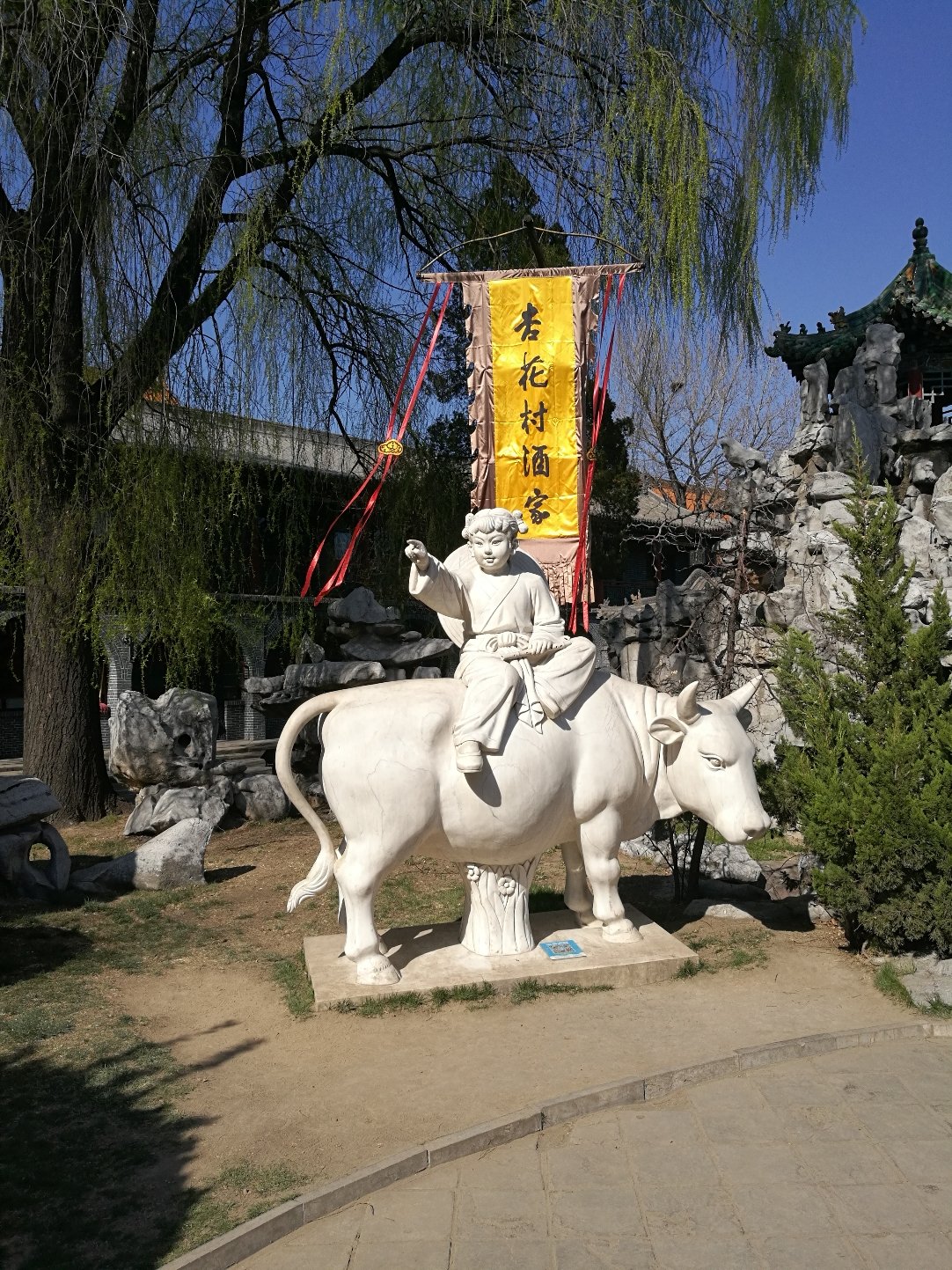 重庆市妇女儿童医院试管代怀怎么方法攻略,费用估算及成功率参考