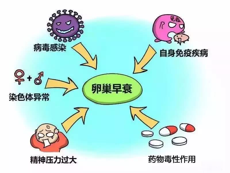 促排促了一个卵泡能取吗