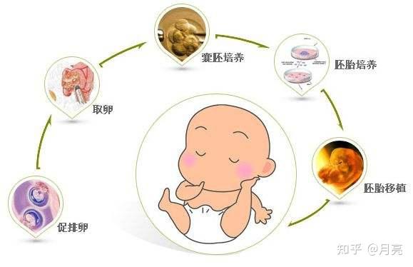 2024重庆市中心妇产医院第二代代生女孩价格（附必要支出费用明细）