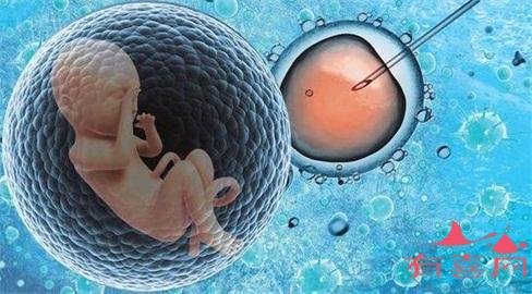 重庆省医院借卵试管代怀咨询机构包生男孩费