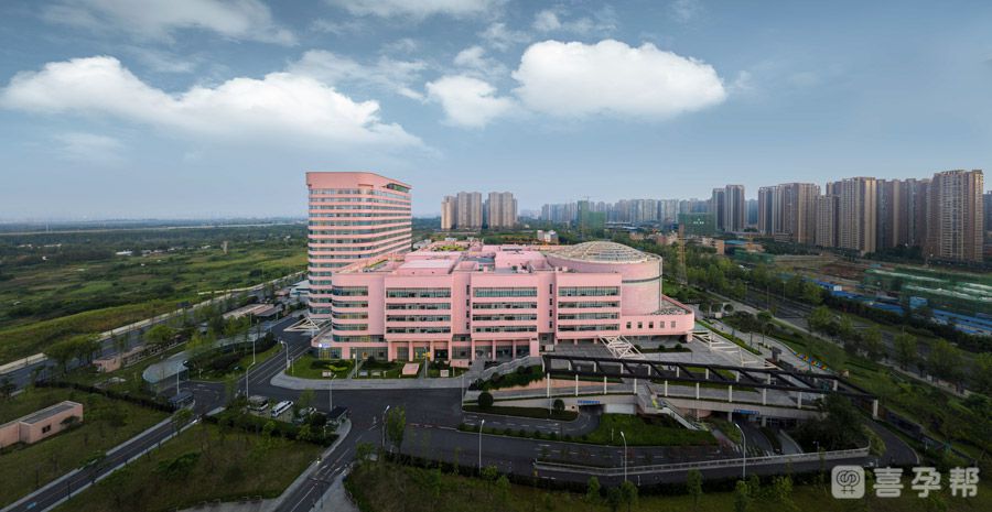 2024年单身女性做重庆私立医院供卵试管费用得多少