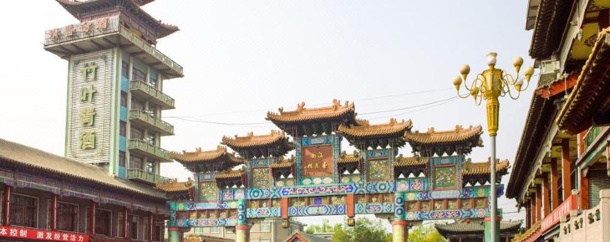 60岁代生公司选性别移植成功是自己的卵子吗