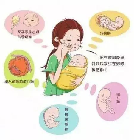 代怀包成功移植后拉肚子该怎么办+