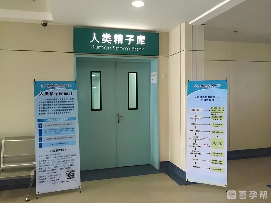 代生子包成功难吗