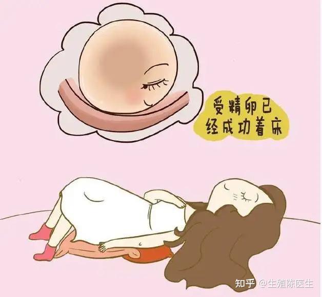 国内试管机构捐卵婴儿需要什么证件（什么情况不能助孕代生产医院婴儿？）